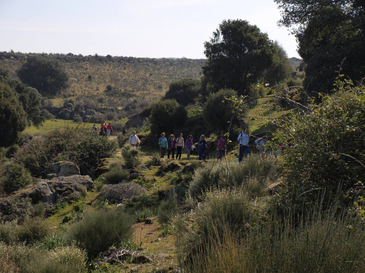 XXI Marcha Arribes del Duero de Vilvestre (Salamanca) 4/4