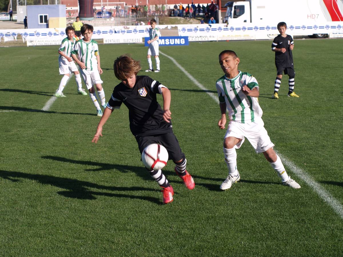 Íscar Cup 2015 (2/2)