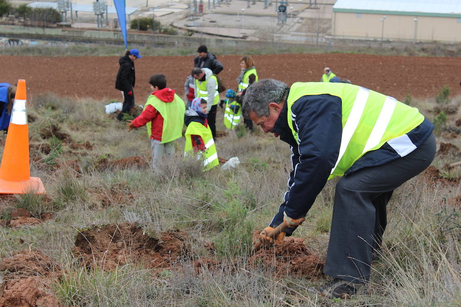 Trabajadores de Campofrío plantan mil sabinas para repoblar una zona que sufrió un incendio