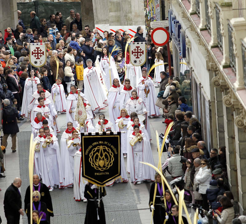 Procesión de las Palmas en Palencia (1/2)