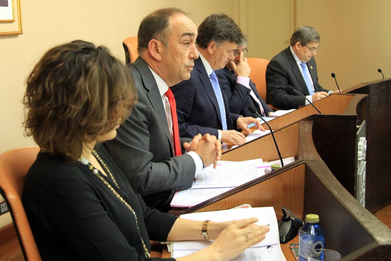 Pleno en la Diputación de Segovia