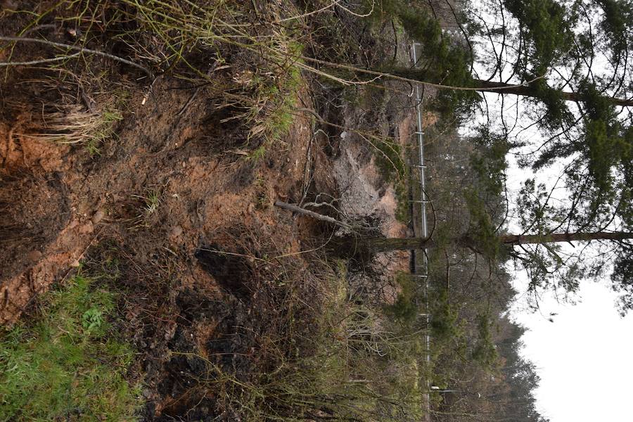 Inundaciones en Guardo (Palencia)