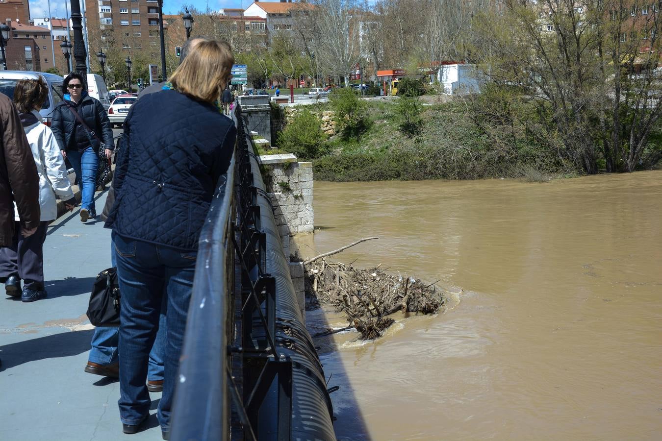 Crecida del Pisuerga a su paso por Valladolid (2/2)