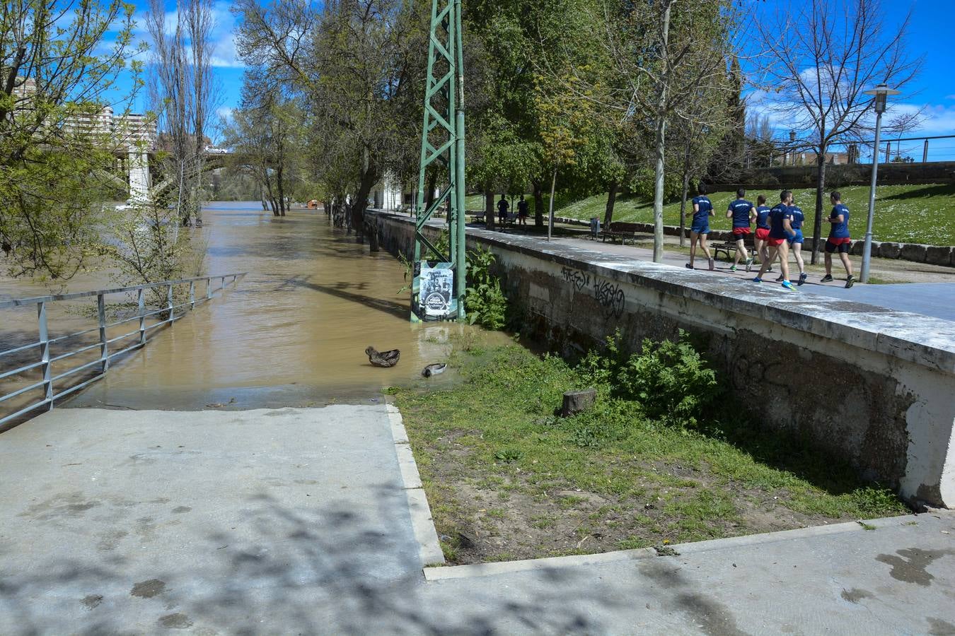 Crecida del Pisuerga a su paso por Valladolid (2/2)