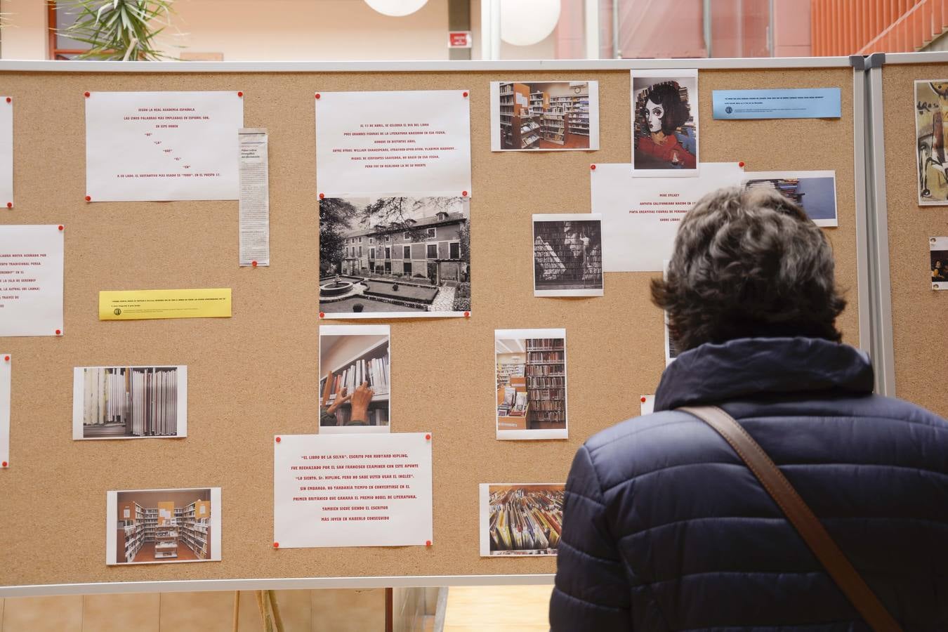 Alumnas de educación de alumnos empapelan del centro cívico de Delicias con refranes extraídos de &#039;El Quijote&#039;