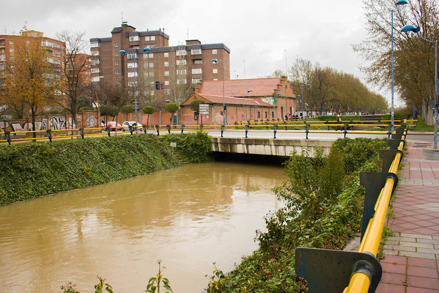 Crecida de los ríos Pisuerga y Esgueva en Valladolid