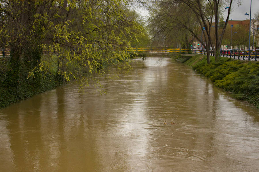 Crecida de los ríos Pisuerga y Esgueva en Valladolid