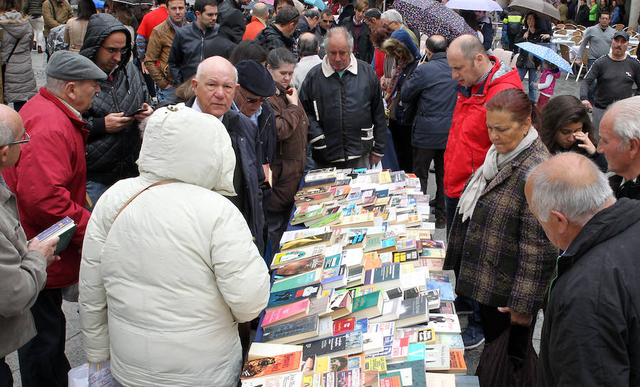 Día del Libro en Segovia