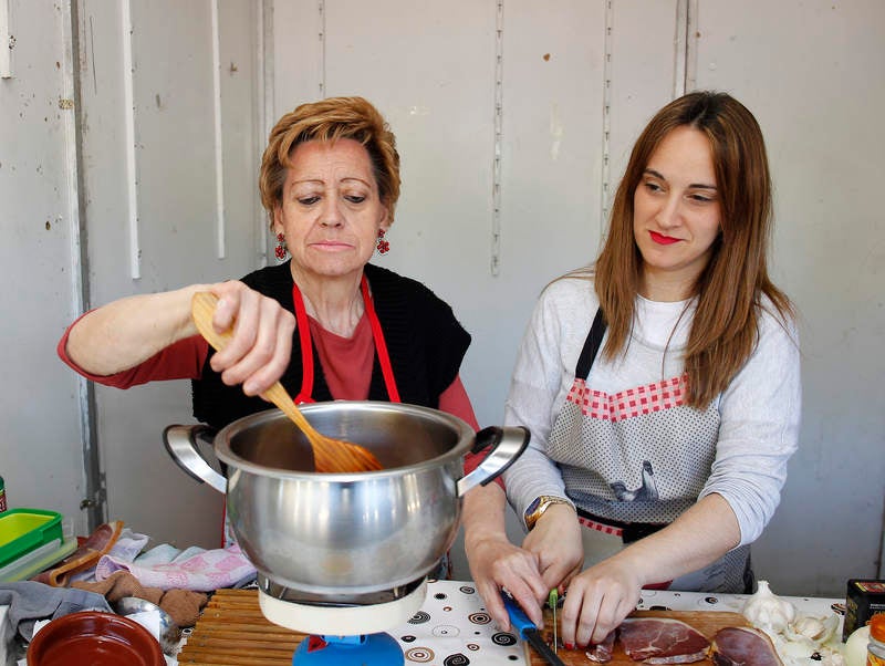Romería de San Marcos en Palencia (1/2)