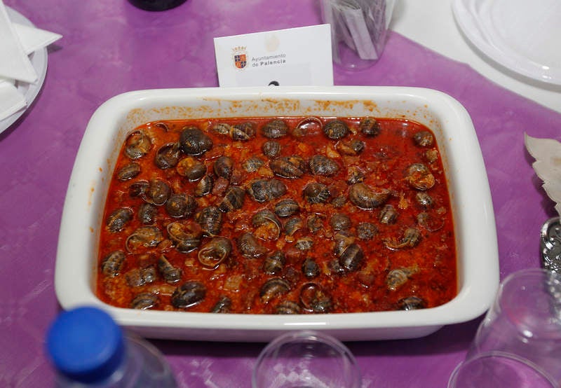 Romería de San Marcos en Palencia (1/2)