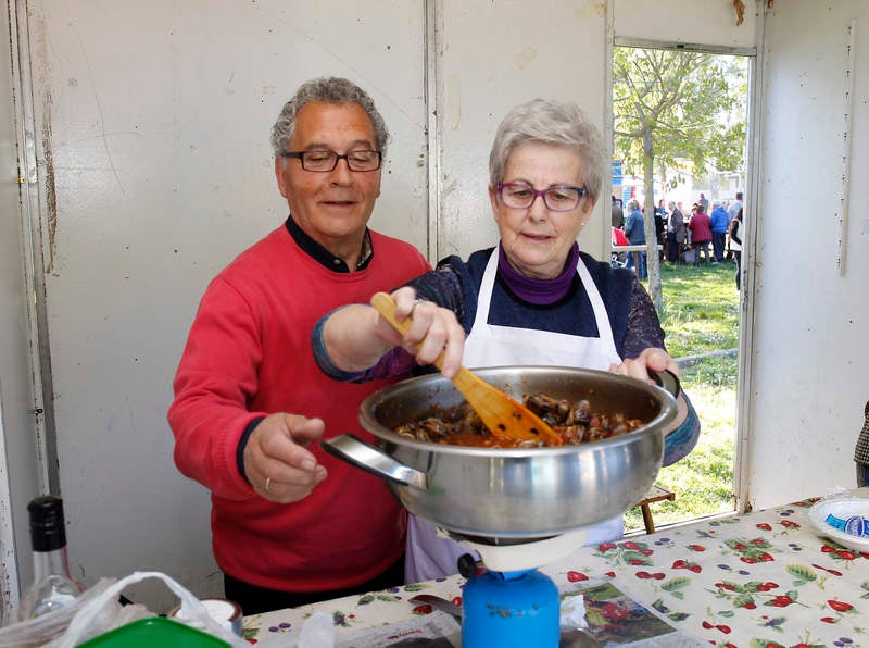 Romería de San Marcos en Palencia (2/2)