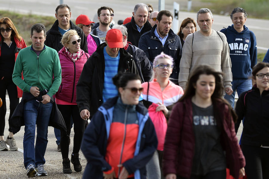 XXXIX edición de la Marcha de Asprona (2/2)