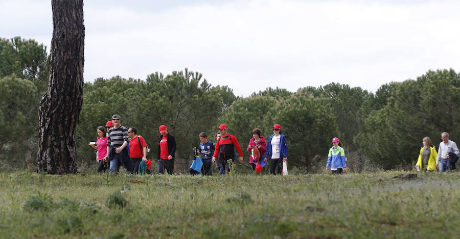 XXXIX edición de la Marcha de Asprona (2/2)