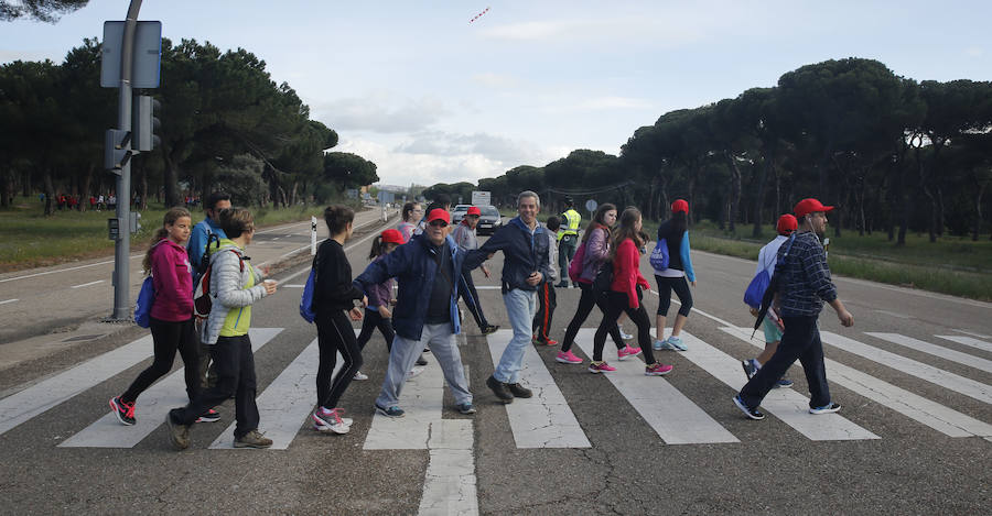 XXXIX edición de la Marcha de Asprona (2/2)
