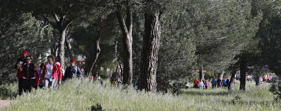 XXXIX edición de la Marcha de Asprona (1/2)