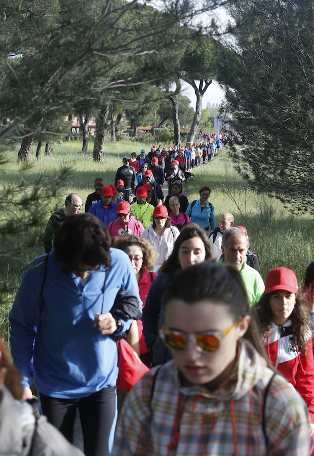 XXXIX edición de la Marcha de Asprona (1/2)