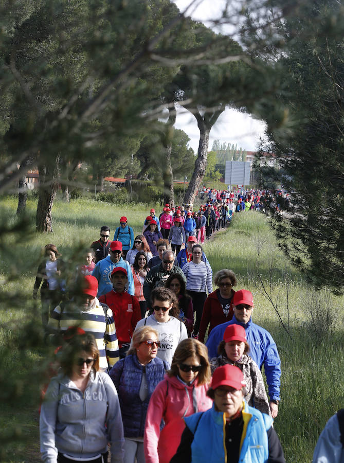 XXXIX edición de la Marcha de Asprona (1/2)
