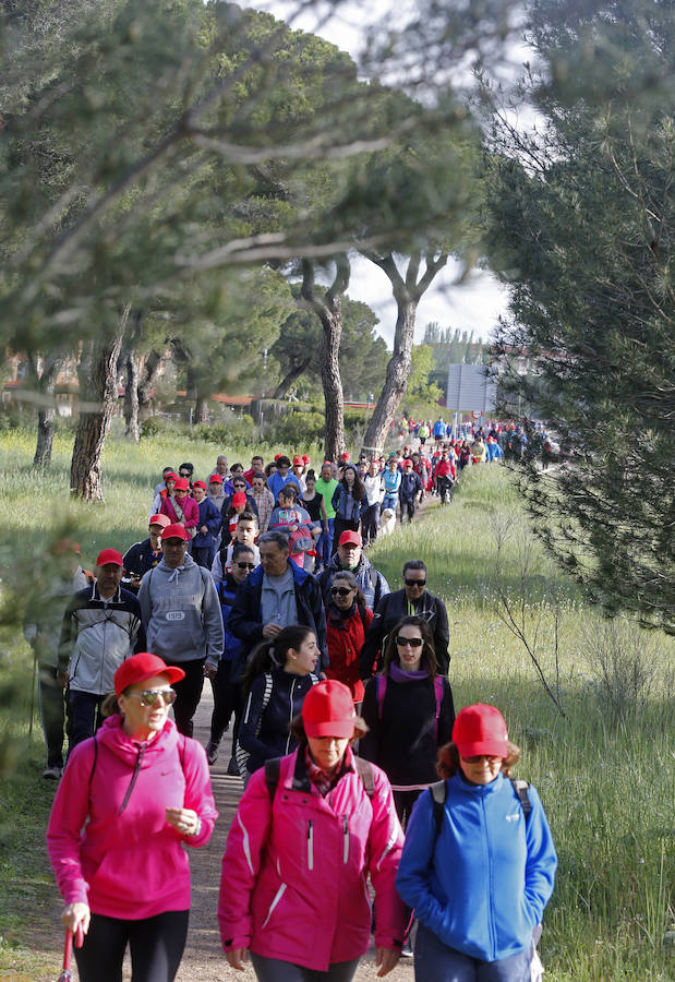 XXXIX edición de la Marcha de Asprona (1/2)