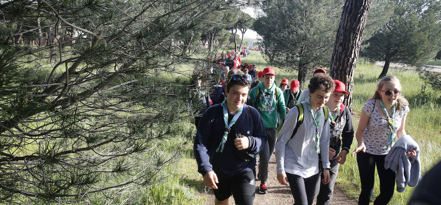 XXXIX edición de la Marcha de Asprona (1/2)