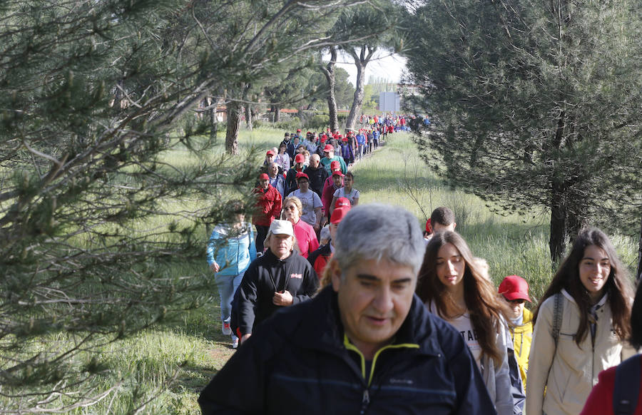 XXXIX edición de la Marcha de Asprona (1/2)