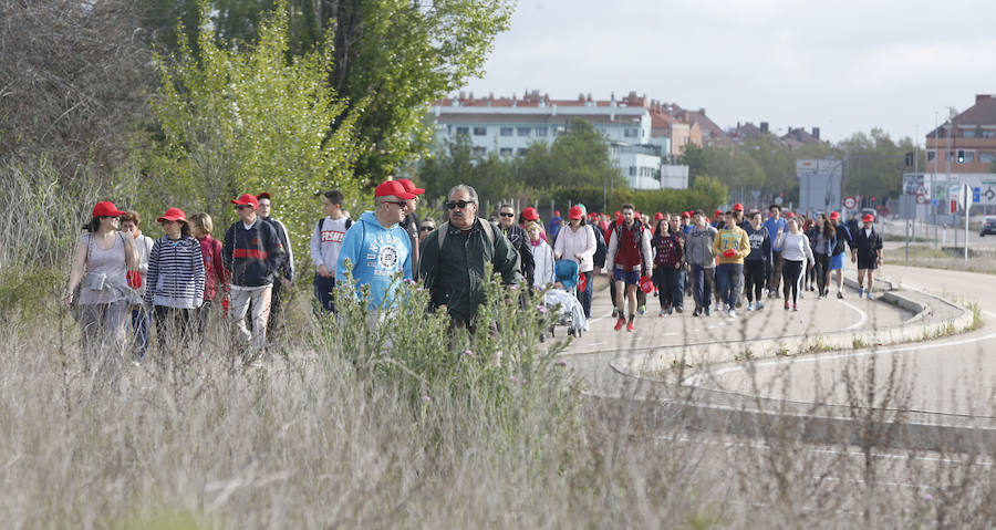 XXXIX edición de la Marcha de Asprona (1/2)