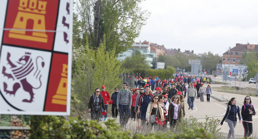 XXXIX edición de la Marcha de Asprona (1/2)