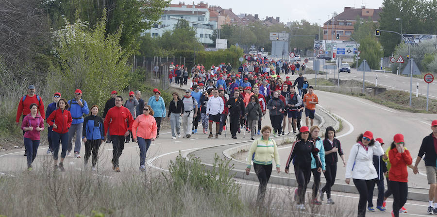 XXXIX edición de la Marcha de Asprona (1/2)