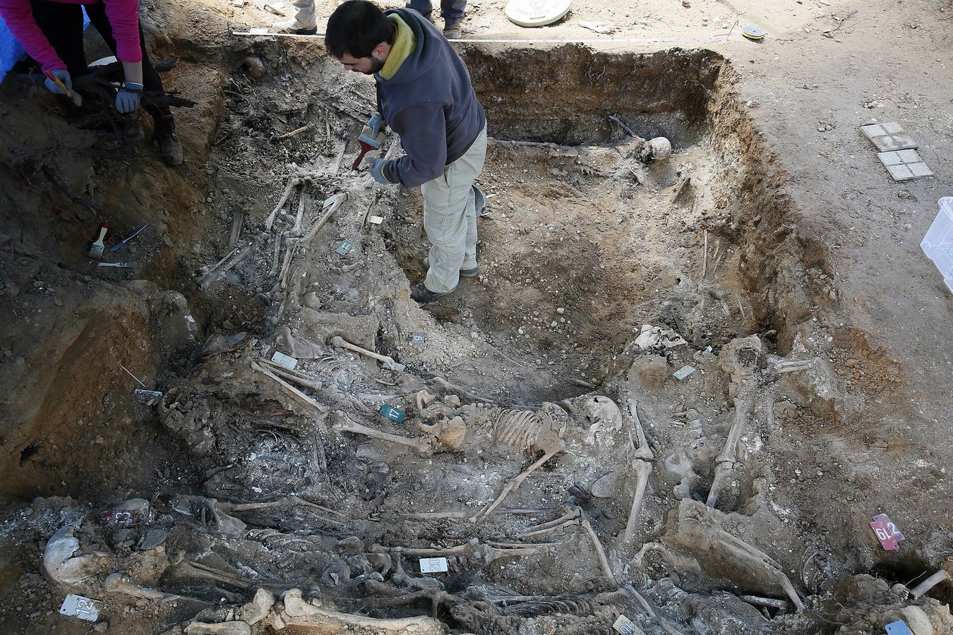 Trabajos de exhumación en una fosa común del Cementerio de El Carmen