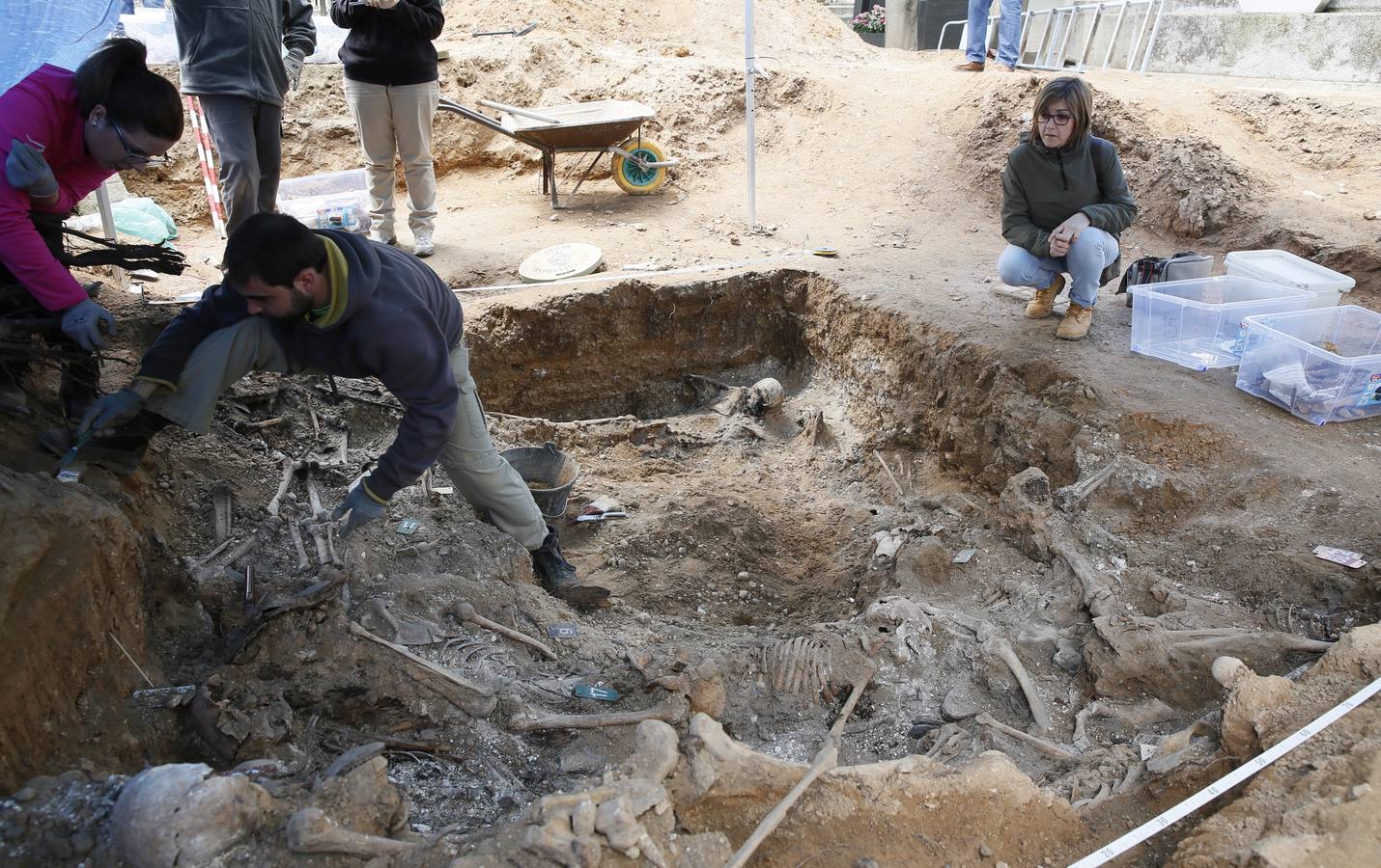 Trabajos de exhumación en una fosa común del Cementerio de El Carmen