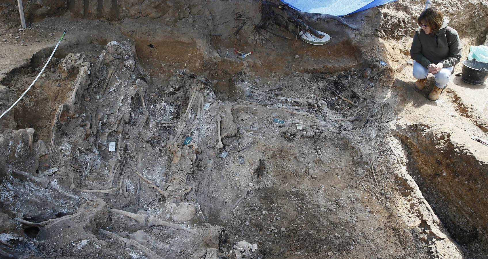 Trabajos de exhumación en una fosa común del Cementerio de El Carmen