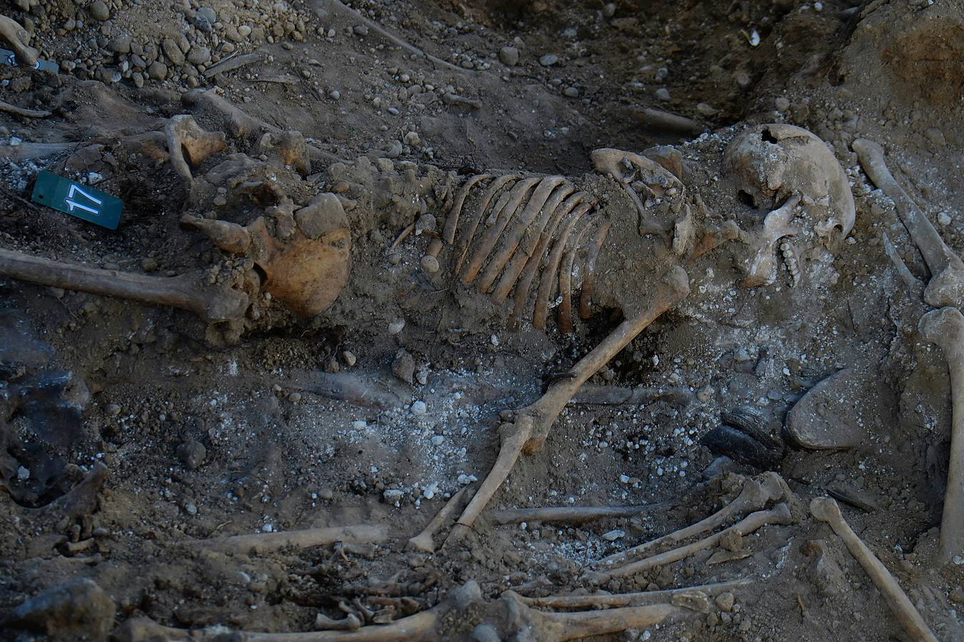 Trabajos de exhumación en una fosa común del Cementerio de El Carmen
