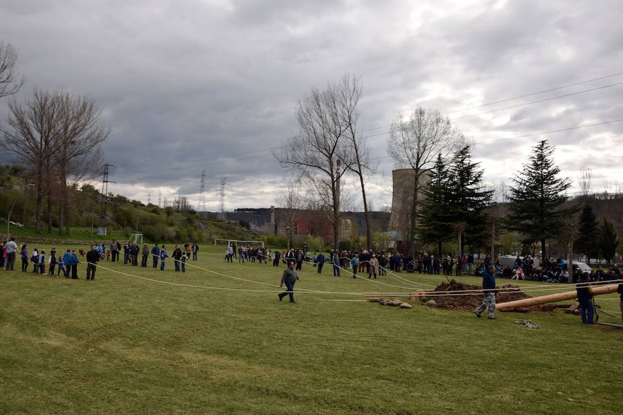 Velilla pina el mayo