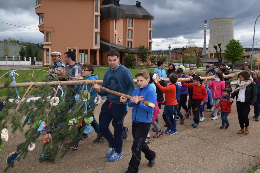 Velilla pina el mayo