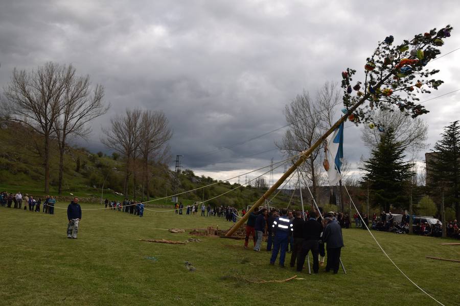 Velilla pina el mayo