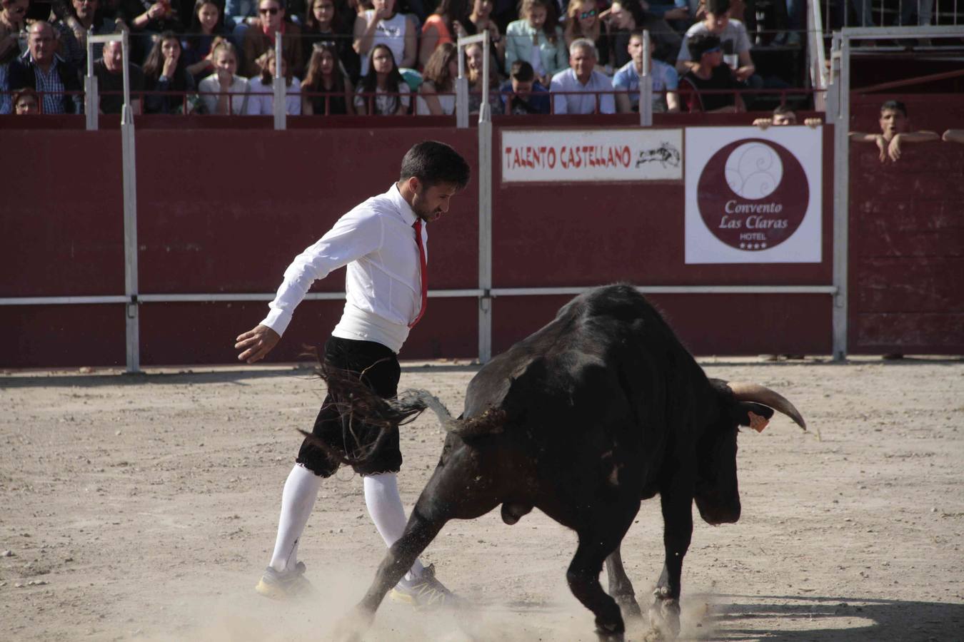 Primer concurso de cortes del Milenario de Peñafiel (1/2)