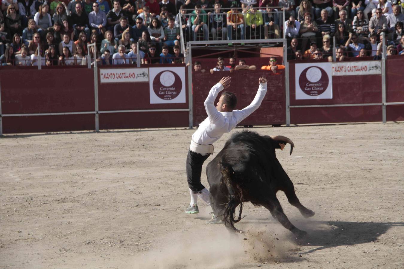 Primer concurso de cortes del Milenario de Peñafiel (1/2)