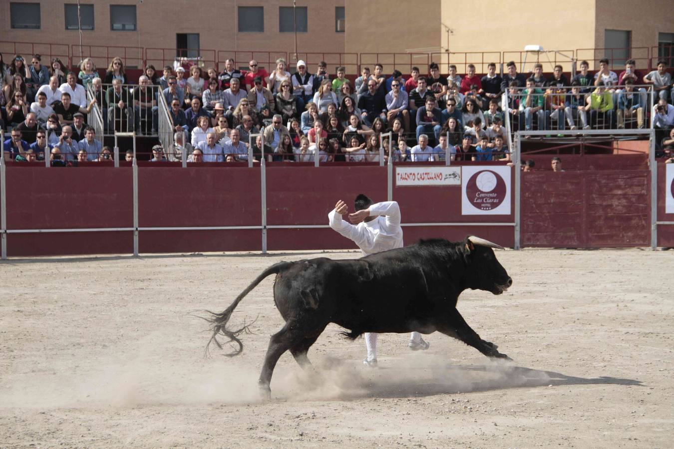 Primer concurso de cortes del Milenario de Peñafiel (2/2)
