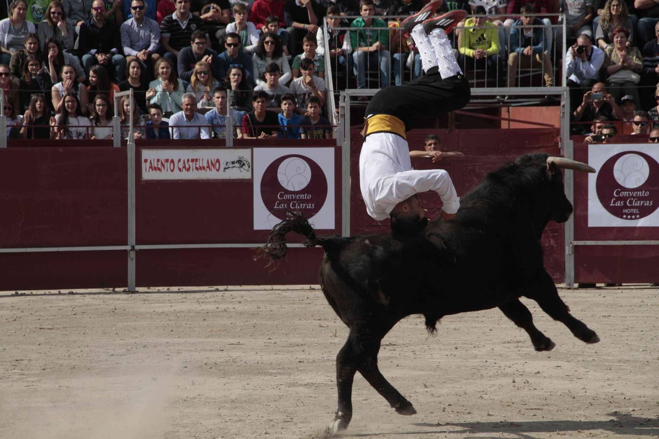 Primer concurso de cortes del Milenario de Peñafiel (2/2)
