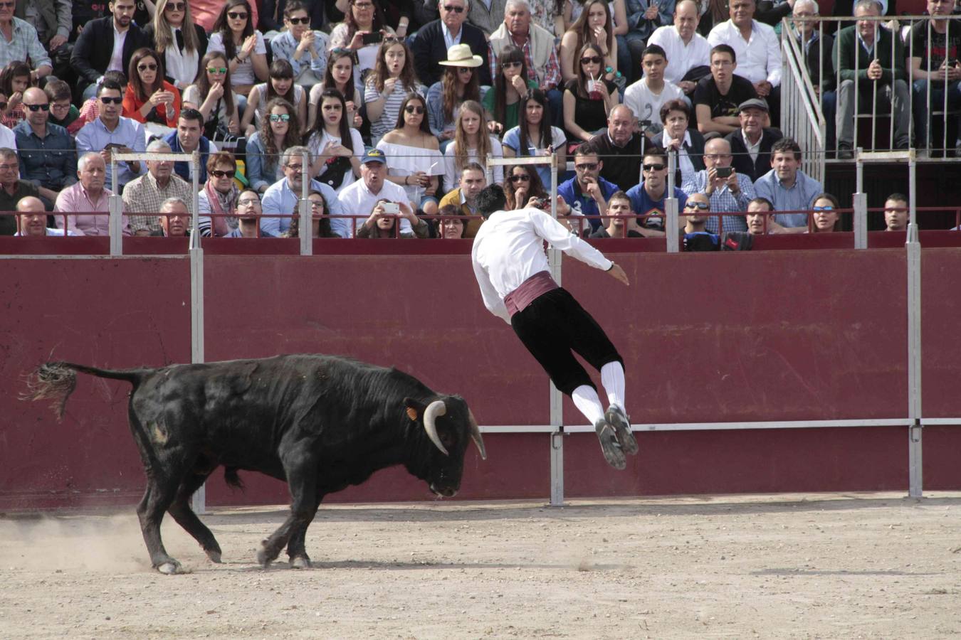 Primer concurso de cortes del Milenario de Peñafiel (2/2)