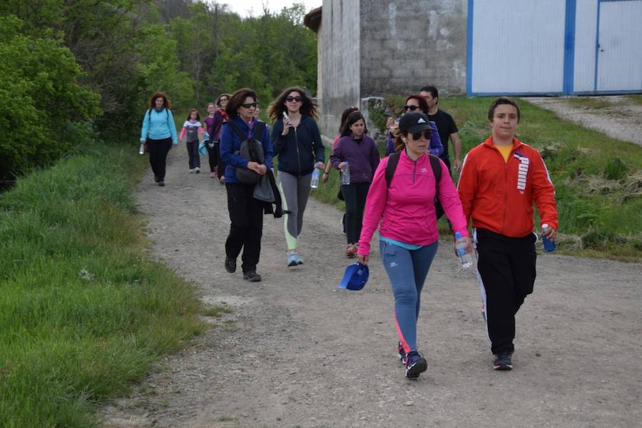 Marcha Adecas en Guardo