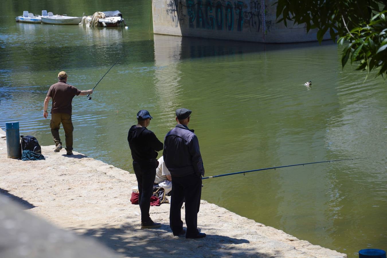 Jornada veraniega en la playa del Pisuerga