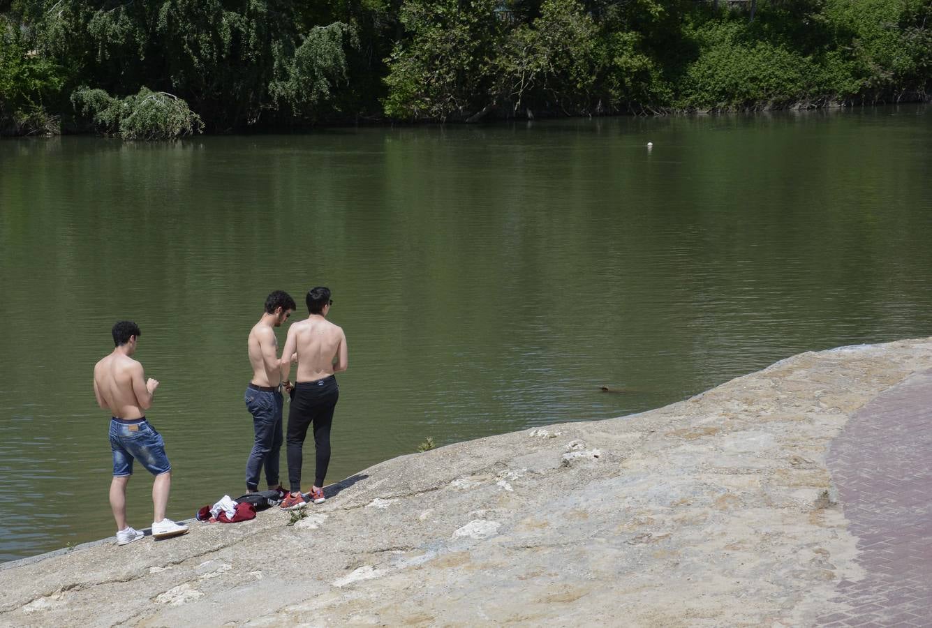 Jornada veraniega en la playa del Pisuerga