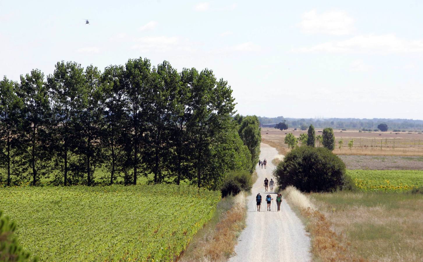 Vía Aquitania del Camino de Santiago, entre Carrión de los Condes y Calzadilla de la Cueza.