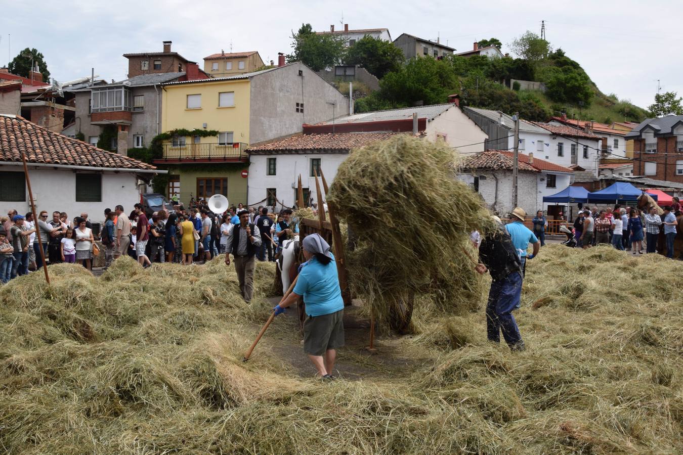 Fiestas de San Antonio en Guardo (Palencia)