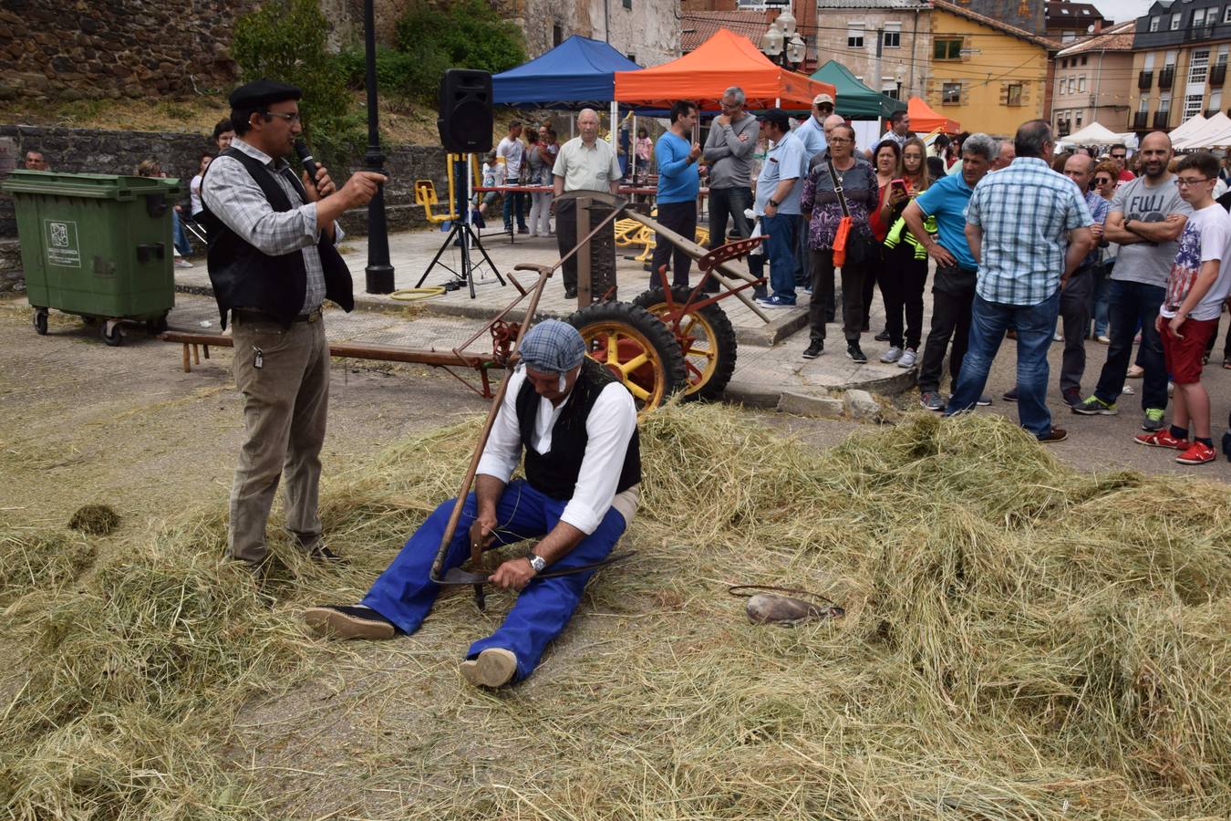 Fiestas de San Antonio en Guardo (Palencia)
