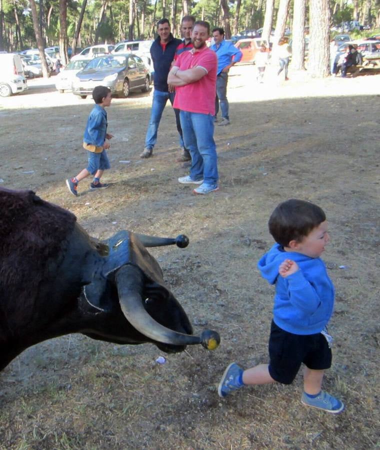 Fiestas en honor a San Antonio de Padua en Navas de Oro (Segovia)