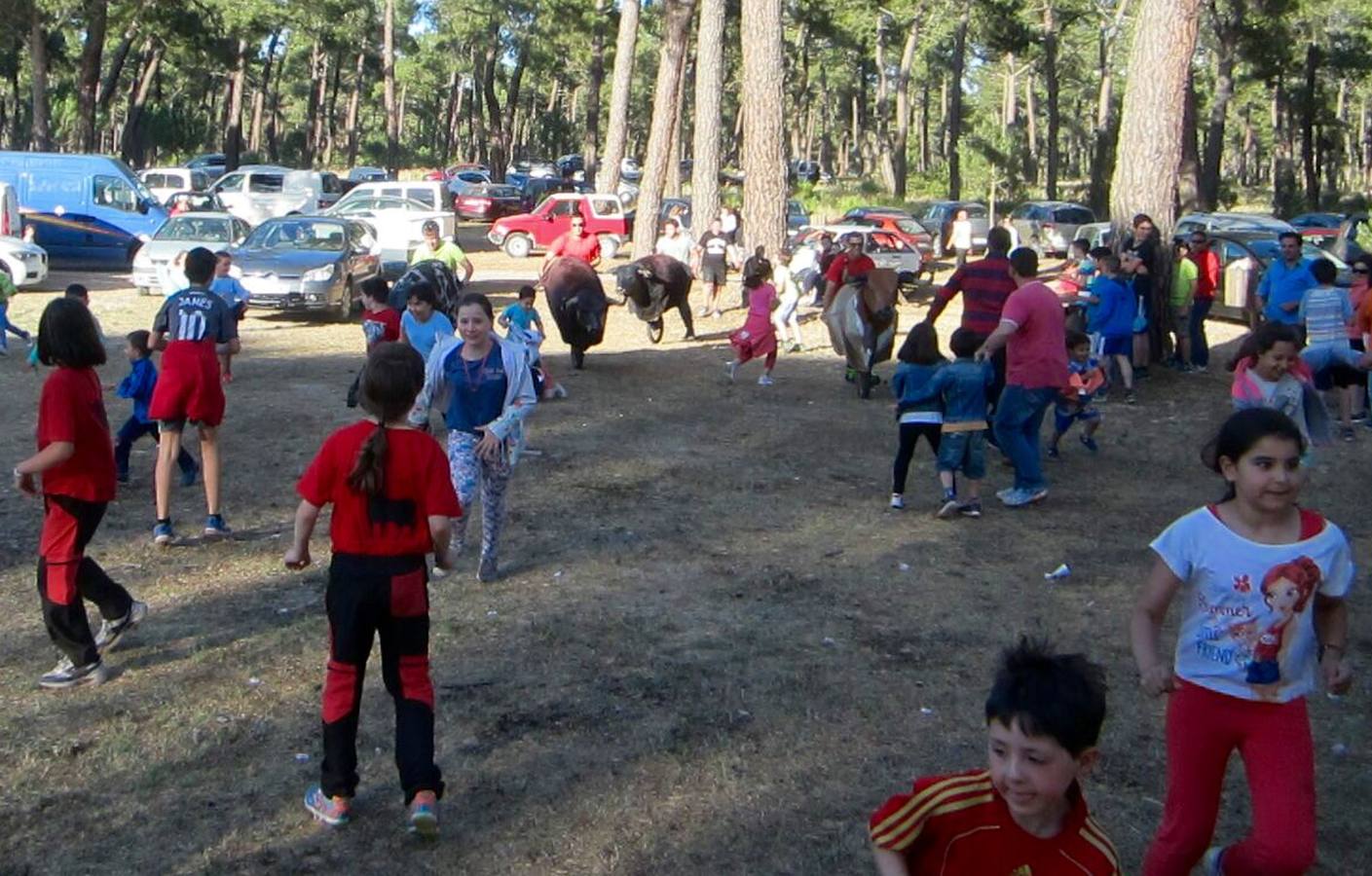 Fiestas en honor a San Antonio de Padua en Navas de Oro (Segovia)