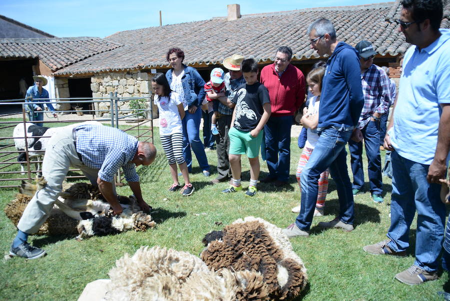 IV Jornadas de Oficios Tradicionales en Galindo y Perahuy