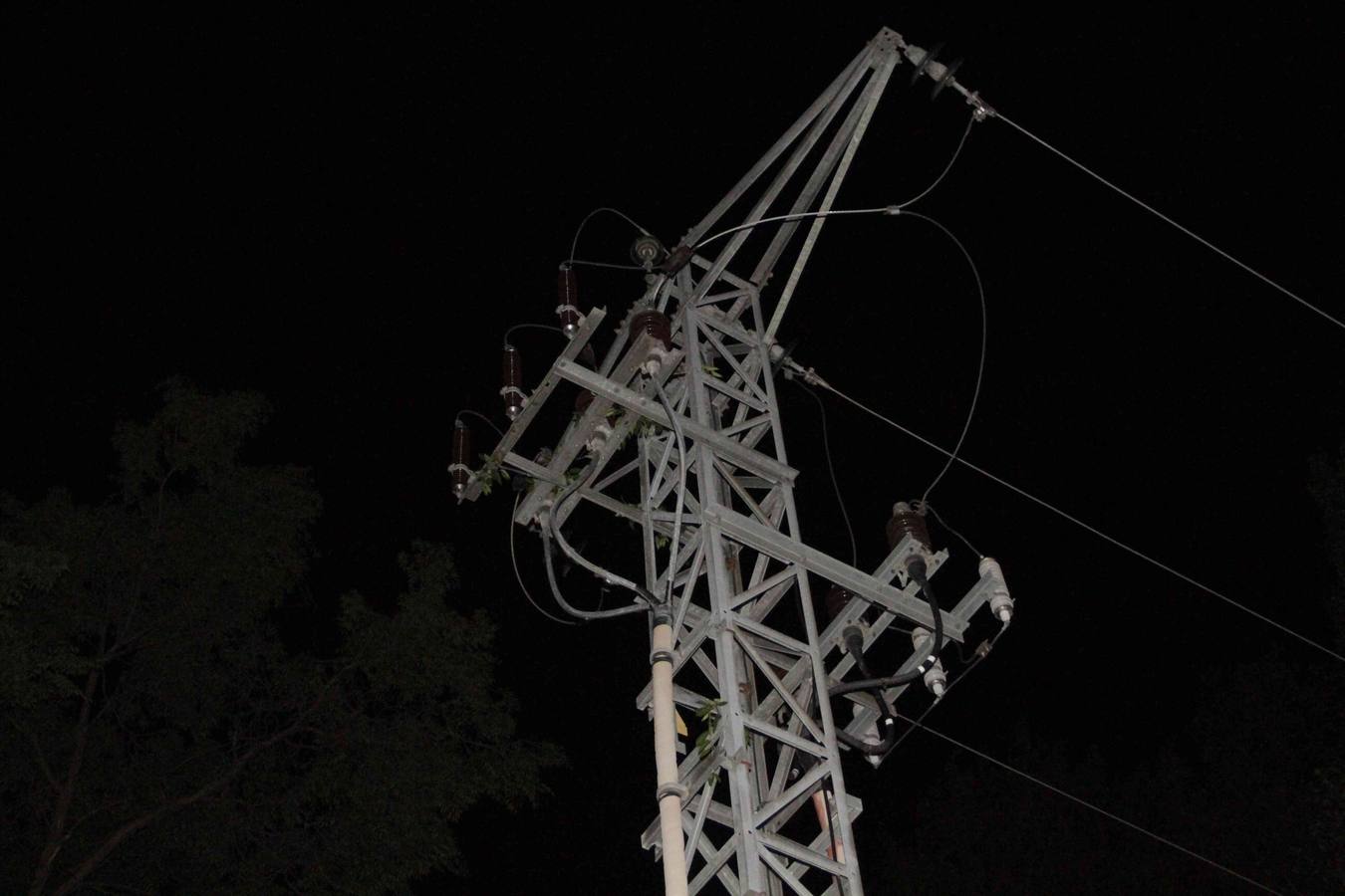 Una rama de grandes dimensiones cae al suelo en el parque público Pedro Burgueño de Peñafiel