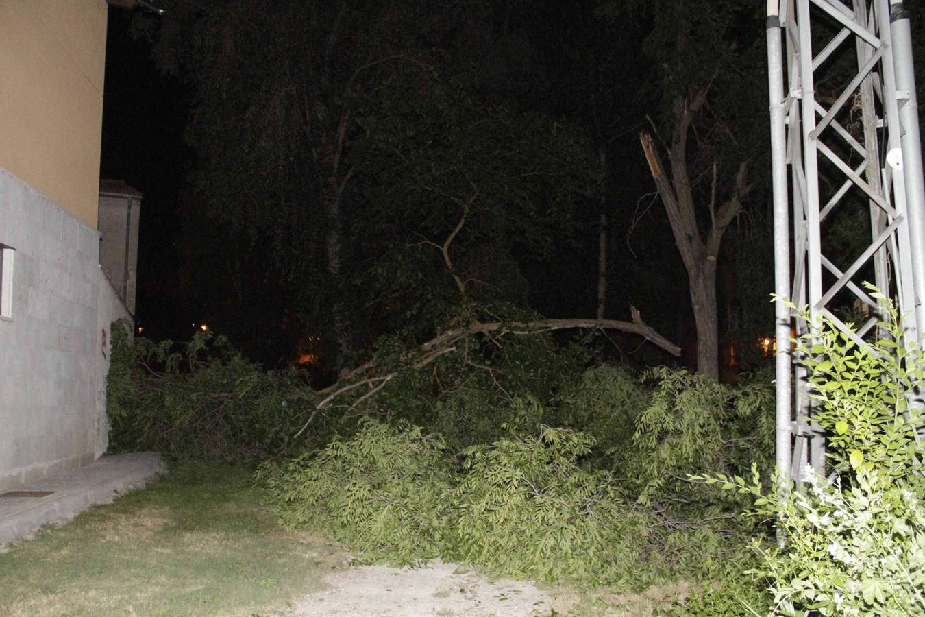 Una rama de grandes dimensiones cae al suelo en el parque público Pedro Burgueño de Peñafiel